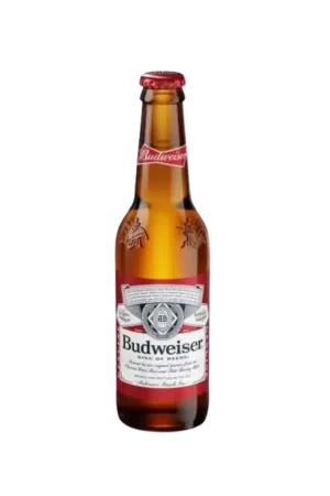 Buy Budweiser Bottle Beer  Beer Online in Amman, Dead Sea, Marj Al-Hamam - Cheers962 Alcohol Delivery Near Me
